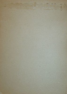 Bran Flakes 16 oz. back inside panel