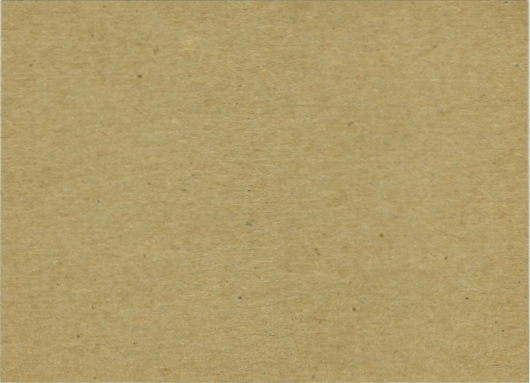 Jesse Whittenton Sugar Coated Corn Flakes 15 oz. 15 back