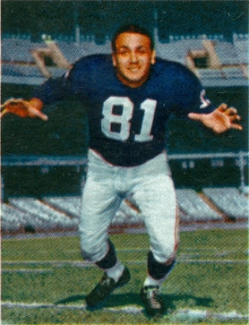 Andy Robustelli Grape Nuts Flakes 12 oz. 26