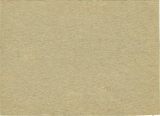 Andy Robustelli Raisin Bran 14 oz. panel 26 26 back