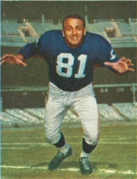 Andy Robustelli Raisin Bran 14 oz. panel 26 26