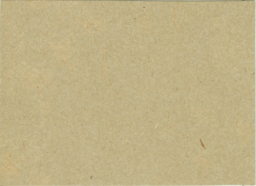 Andy Robustelli Raisin Bran 14 oz. panel 102 26 back