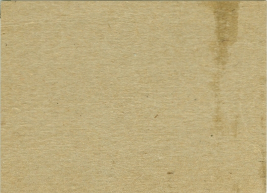 Kyle Rote Grape Nuts Flakes 12 oz. 27