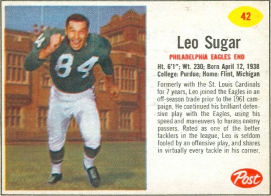 Leo Sugar Bran Flakes 16 oz. 42